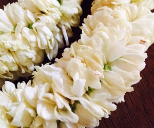 毎週火曜日 ピカケクラス レッスン