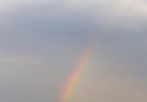 東京の空にかかる虹