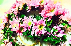 Kuana Torres Kahele 新宿区立新宿文化センター