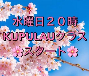 フラ クプラウ 芽吹き オトナの習い事