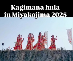 宮古島 フラコンペ カギマナフラ